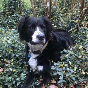 Meet your Posher, Paige